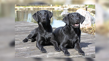 Security-Team von Frau Asanger